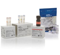 VeriFiler™ Express PCR Amplification Kit with Prep-n-Go™ Buffer (5 tubes)